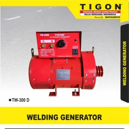 TW-300 D | DYNAMO LAS MAGNET | WELDING GENERATOR | TIGON