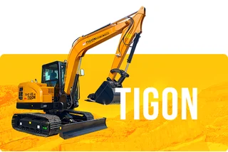 TIGON
